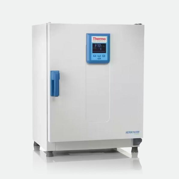 Інкубатор мікробіологічний лабораторний Heratherm IMH60 Advanced Protocol, 66 л, Thermo Scientific, рис. 0